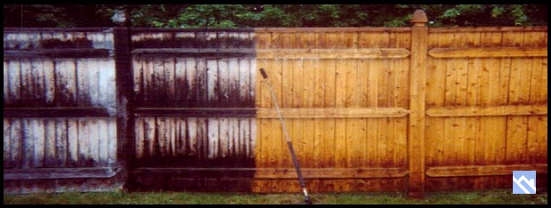 cedar fence restoration