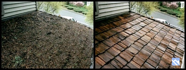 cedar roof cleaning service