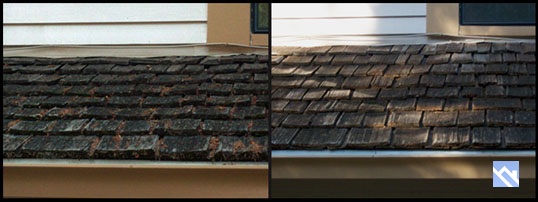 Cedar Shingle Cleaning
