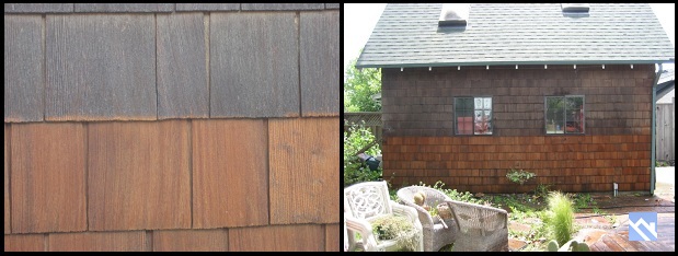 cedar siding cleaning