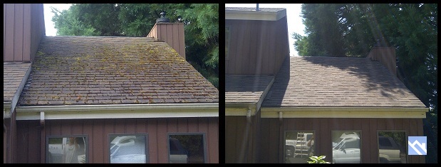 oregon roof cleaning