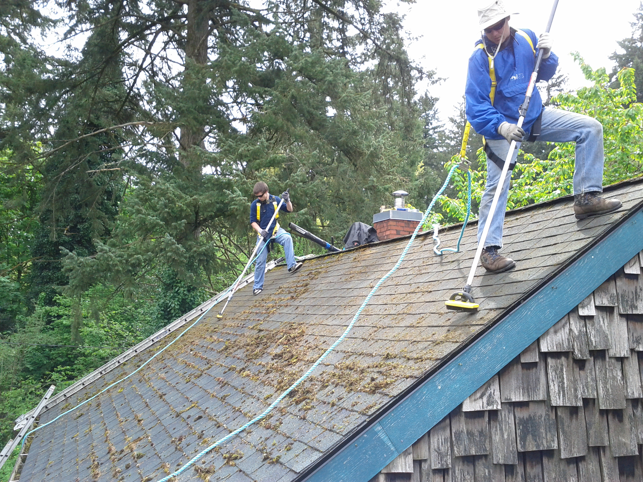 Tile roof cleaning company