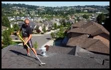 roof cleaner