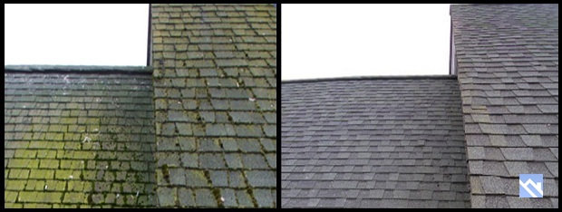 oregon roof cleaning services