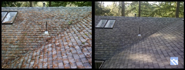 portland roof cleaner