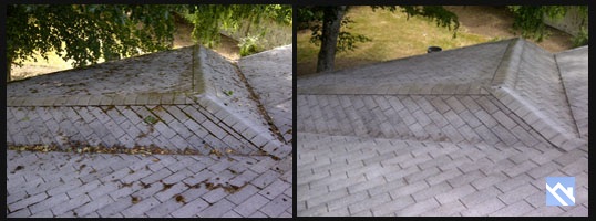 Roof debris cleaner