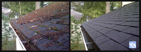 roof moss removal