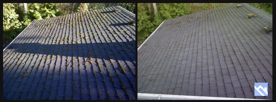 Roof moss cleaner