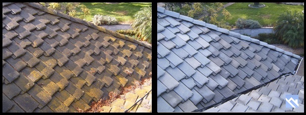 tile roof cleaner