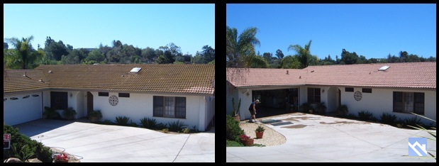 tile roof cleaning