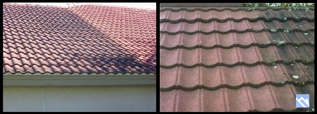 tile roof pressure washing
